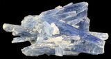 Vibrant Blue Kyanite Crystals In Quartz - Brazil #56937-1